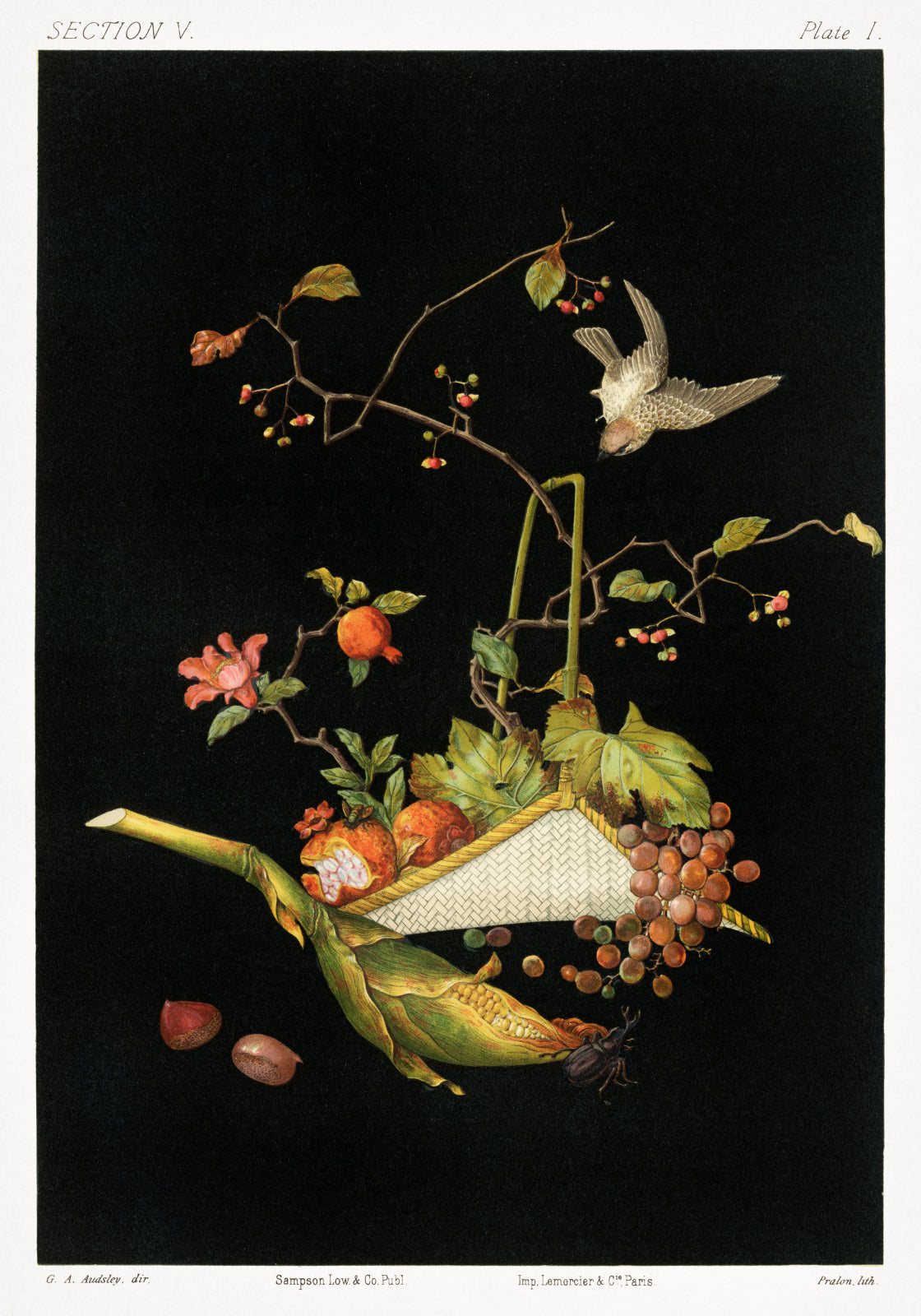 Plakat  Japońska Martwa Natura, G.A. Audsley do Salonu