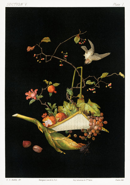 Plakat  Japońska Martwa Natura, G.A. Audsley do Salonu
