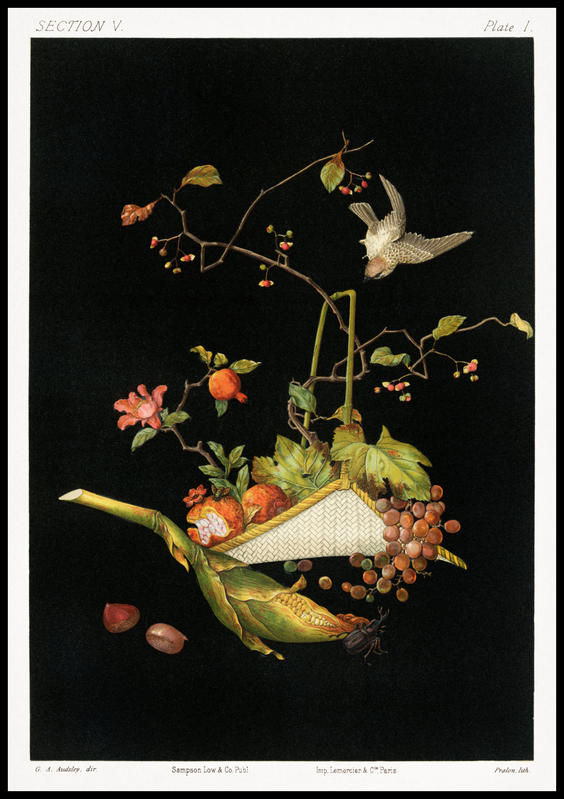 Plakat  Japońska Martwa Natura, G.A. Audsley do Salonu