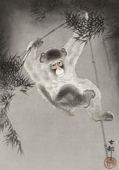 Plakat Małpa w Bambusowym Gaju - Koson Ohara