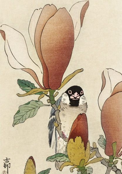 Plakat Ptak wśród Kwiatów Magnolii - Koson