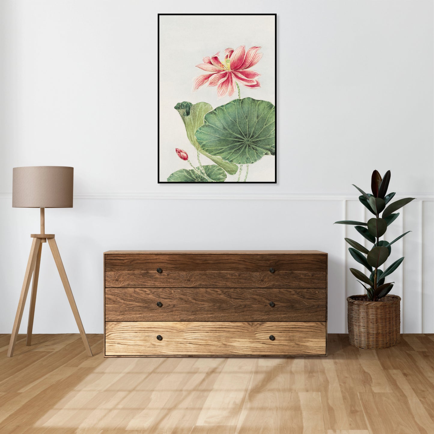 "Hasu Lotus" by Morikaga – Ilustracja Botaniczna