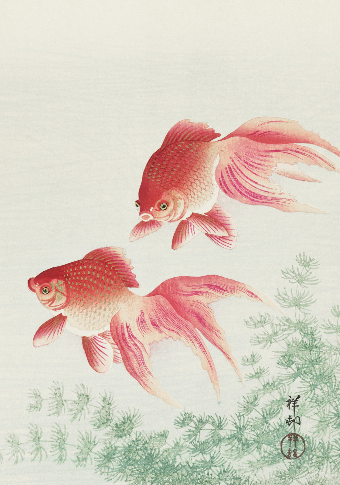 Two Veil Goldfish by Koson - Japońska sztuka