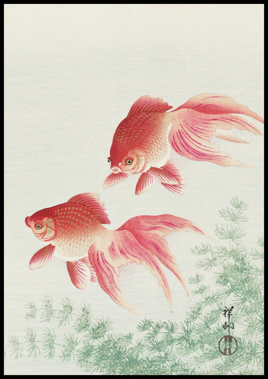 Two Veil Goldfish by Koson - Japońska sztuka