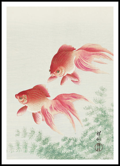 Two Veil Goldfish by Koson - Japońska sztuka