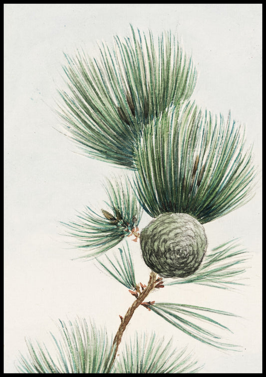 Gayo Matsu Pine - Plakat by Megata Morikaga