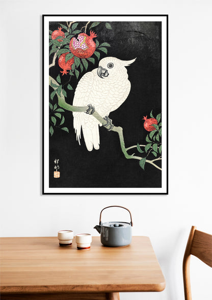 Plakat Papuga Kakadu i Granaty – Koson